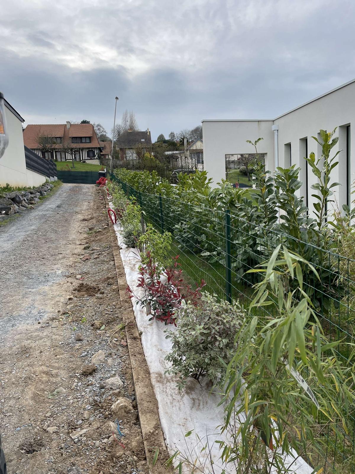 Haie plantée le long d'une clôture rigide