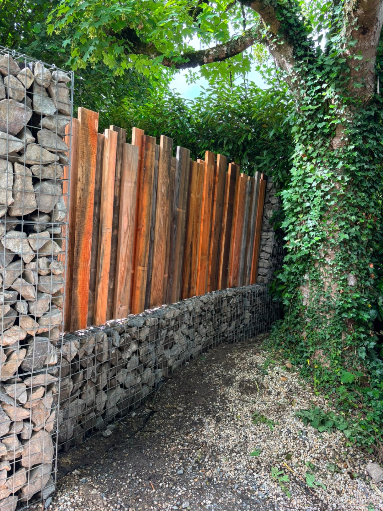 Clôture en lames de bois brut sur soubassement gabion