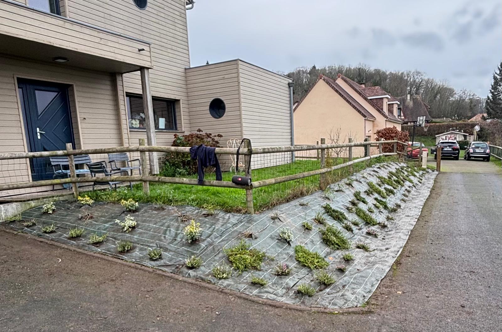 Talus planté de couvre-sols sur toile de paillage